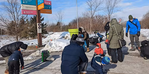 Jr. Forest Explorers \/\/ Explorateurs Forestiers Juniors