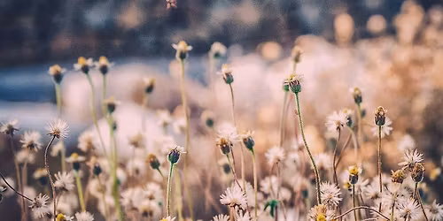 Breath Works & Sound Bath Experience
