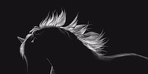 Workshop | Scratch Art | Laguna Art-A-Fair