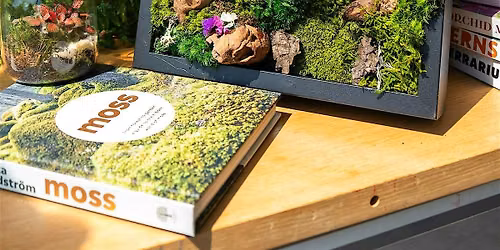 Moss Frame Art Workshop