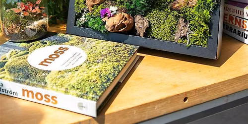 Moss Frame Art Workshop