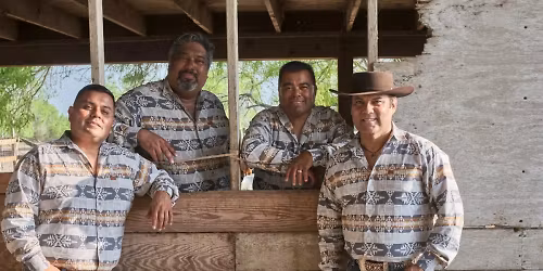 Los Palominos in Edinburg