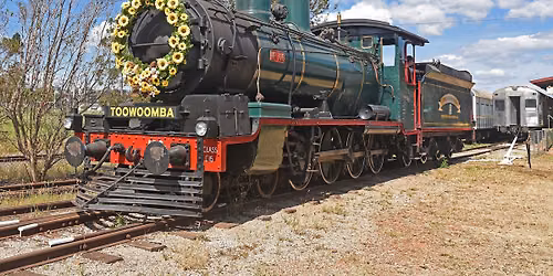 DownsSteam Carnival Special Steam Train