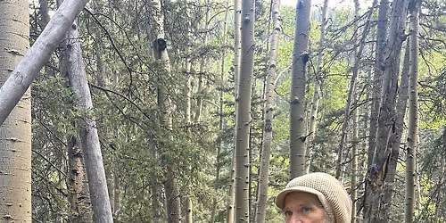 Foraging in Northern NM