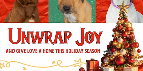 Unwrap Joy! Adoption Event \ud83c\udf81 \ud83c\udf84