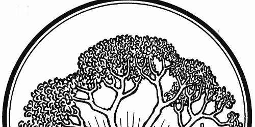 Sunday school, adult Bible class, and Worship service with Communion