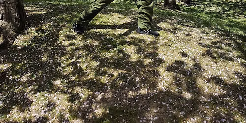 Tai Chi & Tai Chi Walking 75 min class - 8 weeks - Thursdays