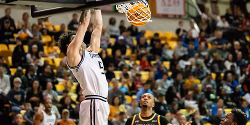 Parking Towson Tigers at William & Mary Tribe Mens Basketball