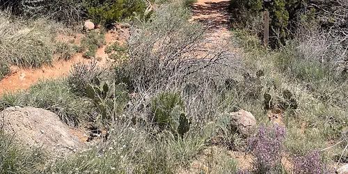 Halloween Hard Hike \u2013 Rockgarden Adventure \ud83c\udf83\ud83e\udd7e