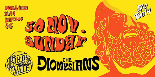 The Dionysians & Birds of Vale \/\/ Live at Bad Tooth