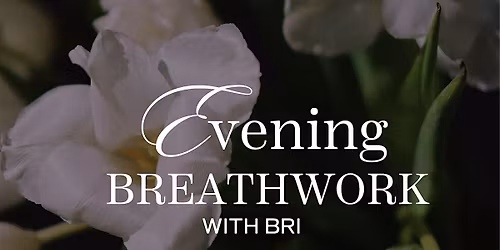 Evening Breathwork and Botanicals with Bri