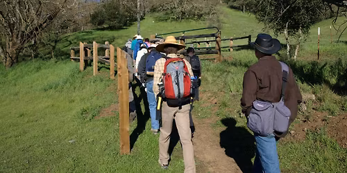 Birding at Rancho Ca\u00f1ada del Oro Open Space Preserve!