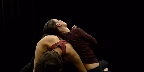 Contact improv - with Stacey Horton