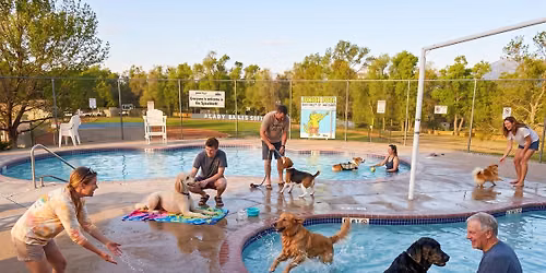 Doggy Paddle Day 
