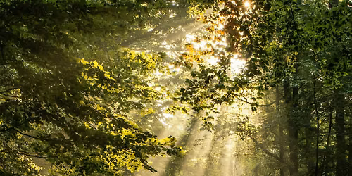 Nervous System Reset in Nature