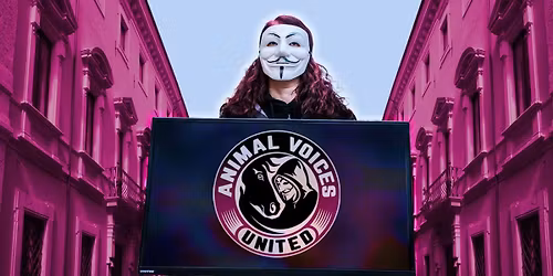 Street Action, Milano, 14 dicembre, ore 15:00