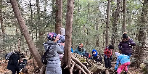 Nature Nancy; The Animals Get ready for Winter!