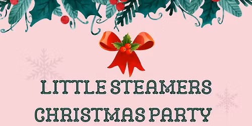 Little STEAMers Christmas Party