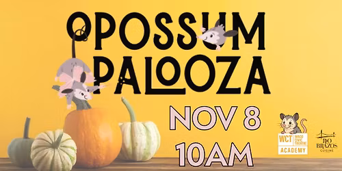 Opossum Palooza