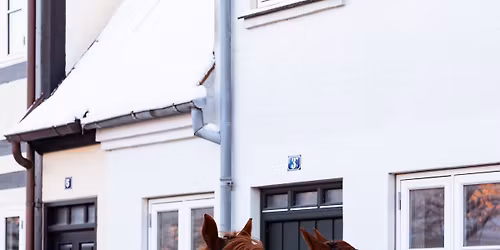 HCA julemarkedet 2025