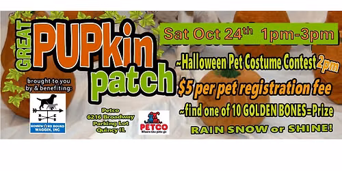 PUPkin Patch - A Doggie Trunk or Treat by Homeward Bound Waggin