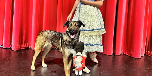 Bristol Ballet Presents The Animalcracker
