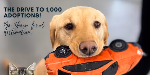 The Road Home at Miller Symphony Hall