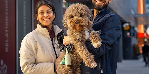 Streeterville Walk and Wag