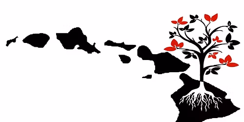 Mo\u02bbok\u016b\u02bbauhau: How to get started finding your Family Roots