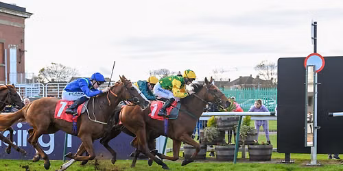 Tuesday Afternoon Racing 
