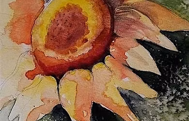 Sunflower Watercolor Painting ( Beginner Level)
