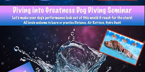 Diving Towards Greatness Dock Diving Seminar!