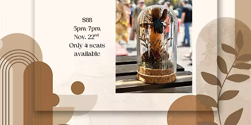 Create a bee terrarium!