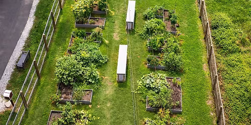 Volunteer in the Eco-Corridor - October 31
