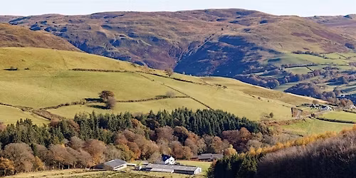 Shared values and management pathways for upland Welsh peatlands