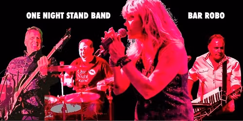 One Night Stand Dance Band - LIVE!
