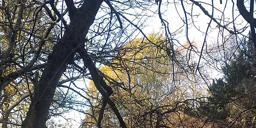 Taking time to explore, play and connect through nature