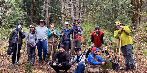 Green Issaquah: Restoration Event at Park Pointe
