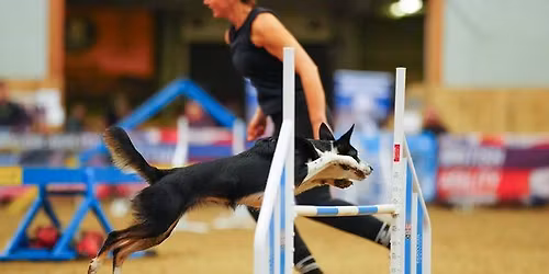 Handling Workshop- precomp to grade 3