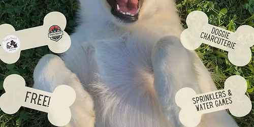 Barkfest - Celebrate National Dog Day!