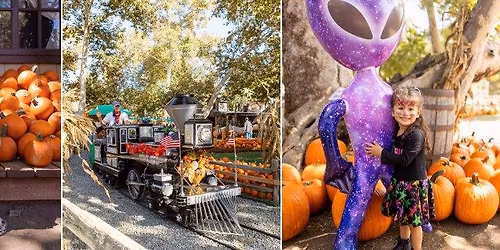 Irvine Park Railroad's Pumpkin Patch
