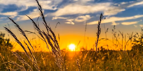 Acu-Sound: Summer Solstice