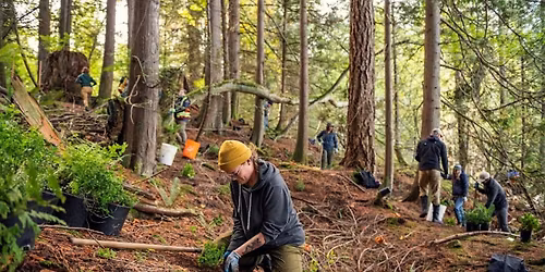 Capilano River Regional Park \u2013 Forest Resiliency Project 2026