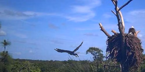 Jetta Point Nature Walk & Eagle Watching \/ Winter Springs