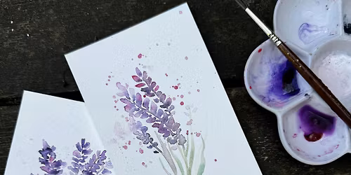 Lavender in Watercolour - Evening at Ollie Quinn