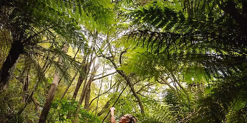 \ud83c\udf39 Into the Senses \u2014 A Dance of Embodied Presence by DJai Ma \ud83c\udf39