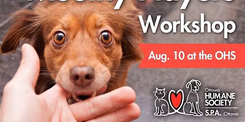 Mouthy Players \u2014 Group Dog Training Workshop