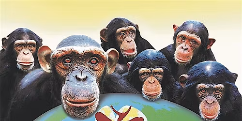 Monkey World Christmas Special Artz+ Sportz+