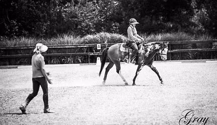 Rider Biomechanics Clinic Talking Rock, GA