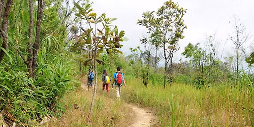 Autistic Adult Peer Support - Nature Walk Interest Group